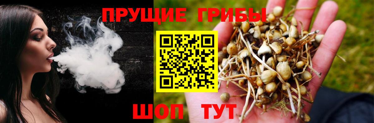 Галлюциногенные грибы Cubensis  Вход с VPN  Сосновоборск 